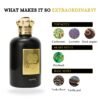 IM3 Riiffs Imperial Noir Eau de Parfum-3.04 oz/100ML