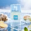Riiffs Freeze Eau de Parfum unisex-3.04oz/100ML