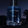 Screenshot Dior Sauvage Extrait Men’s Perfume 100ML